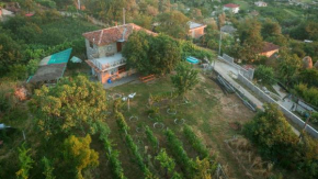 The house in the village